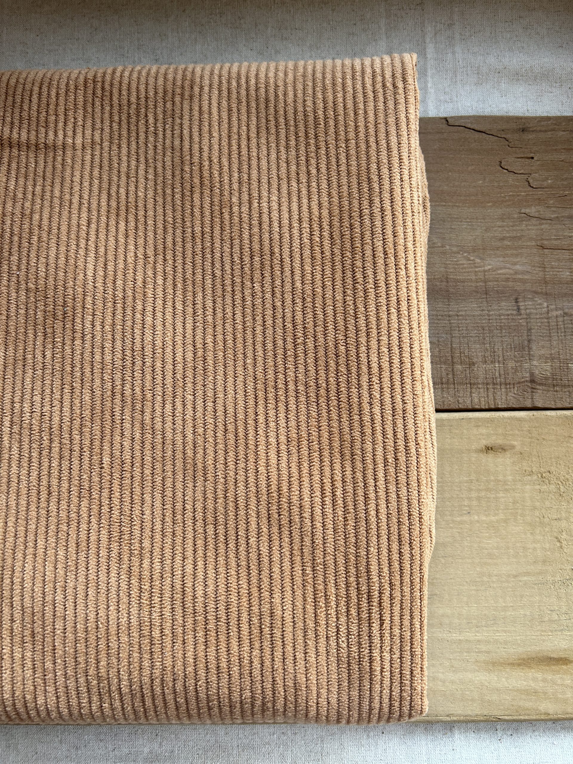 Cotelon camel - Imagen 5